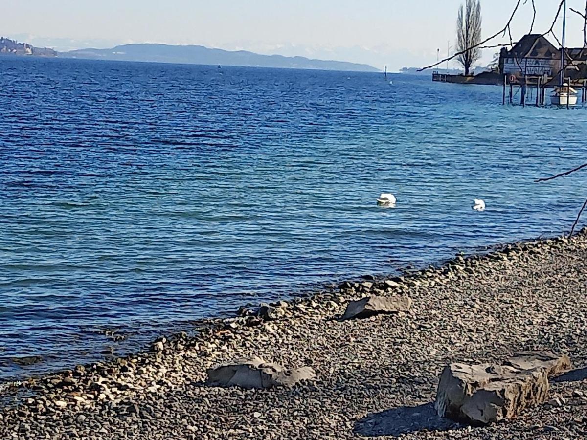 Fewo Mit Tollem Ausblick Auf Der Schwaebischen Alb. Wehingen Eksteriør billede